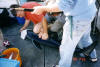 Alun Lewis, skipper of the Cleddau King, wrestling with a nice blue shark courtely of Mark James