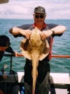 Ray