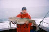 Mike Middleton with a fantastic 29.5lb cod caught out of Swansea