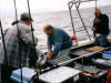 Sabre Tooth skipper Steve Hambridge helps in the effort to boat Greg Laycock's first blue shark which tipped the scales at 80lb - check the anger shown in the shark's eye!