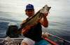 Nige with a 10lb 3oz Pollack from one of the Turbot Bank reefs